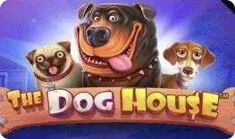 tkbaazi-the-dog-house-img