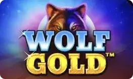 tkbaazi-wolf-gold-img